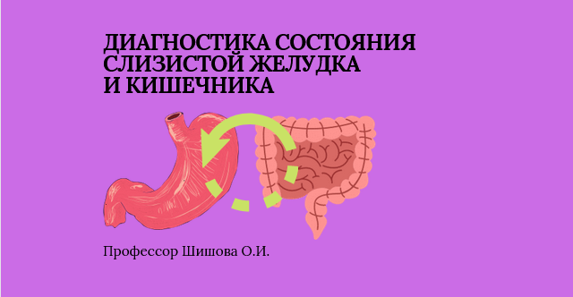Шишова желудок. Шишова желудок. Пищеварительная система кишечник. Шишова желудок. Шишова желудок.