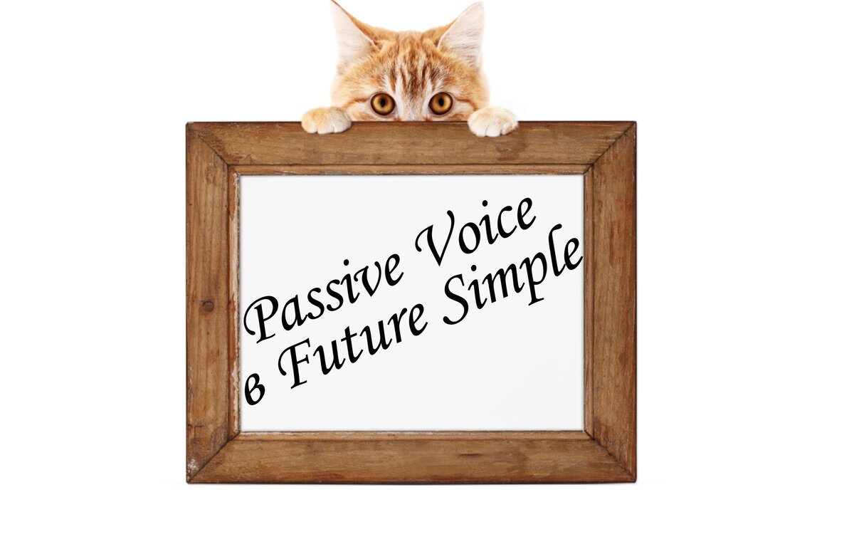 Страдательный залог или Passive Voice в Future Simple | English Cats | Дзен