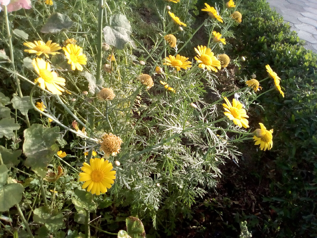 Мое фото для статьи о том, как выбрать стиральную машину