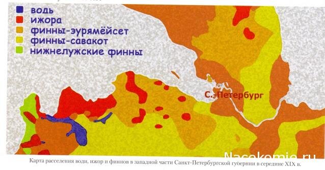 Народы жившие на новгородской земле. Водь народ карта. Ижорцы народ на карте. Народ Ижоры на карте. Карта расселения ижорцев.