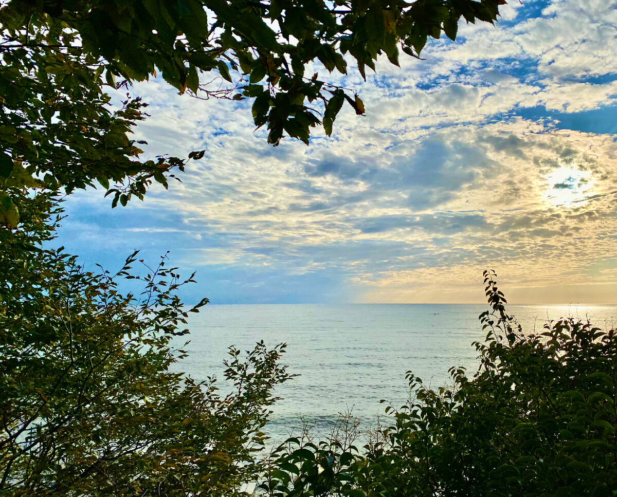 Терренкур «Тропа здоровья» вдоль моря - пешком из Мацесты в Сочи и наши ...