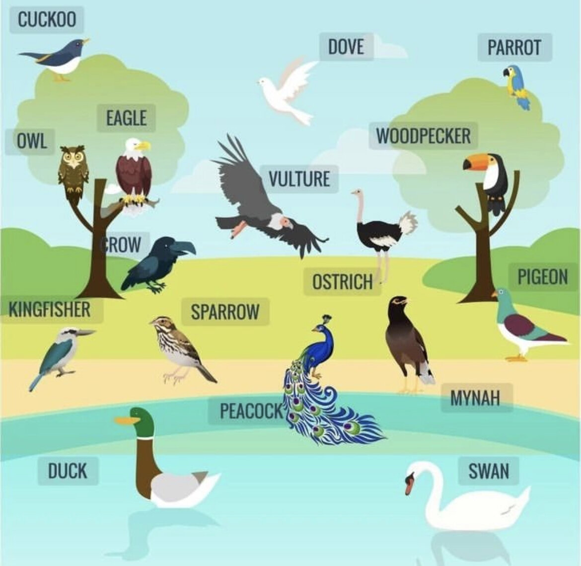 Как удачно выбрать репетитора по английскому языку: 3 вопроса в лоб ...