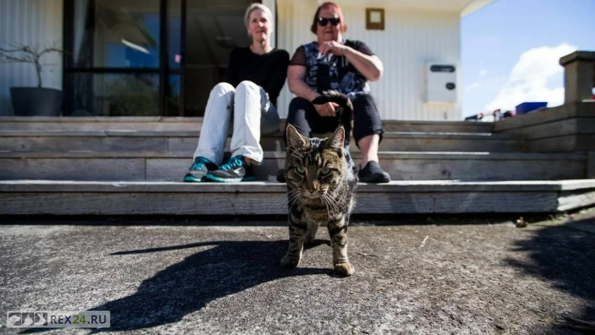 Фото: Соцсети