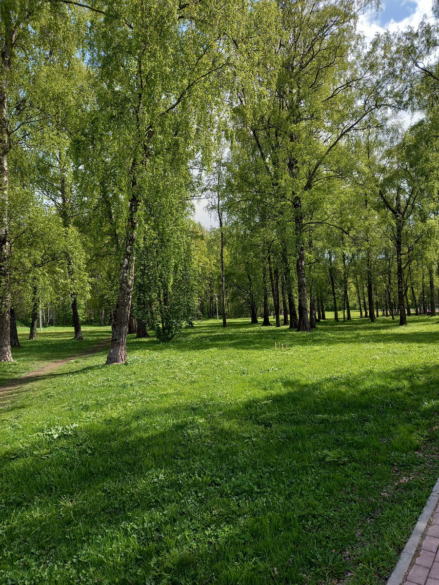 Фото автора с той самой прогулки.