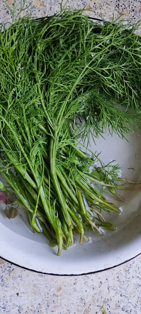 Без укропа никуда) 