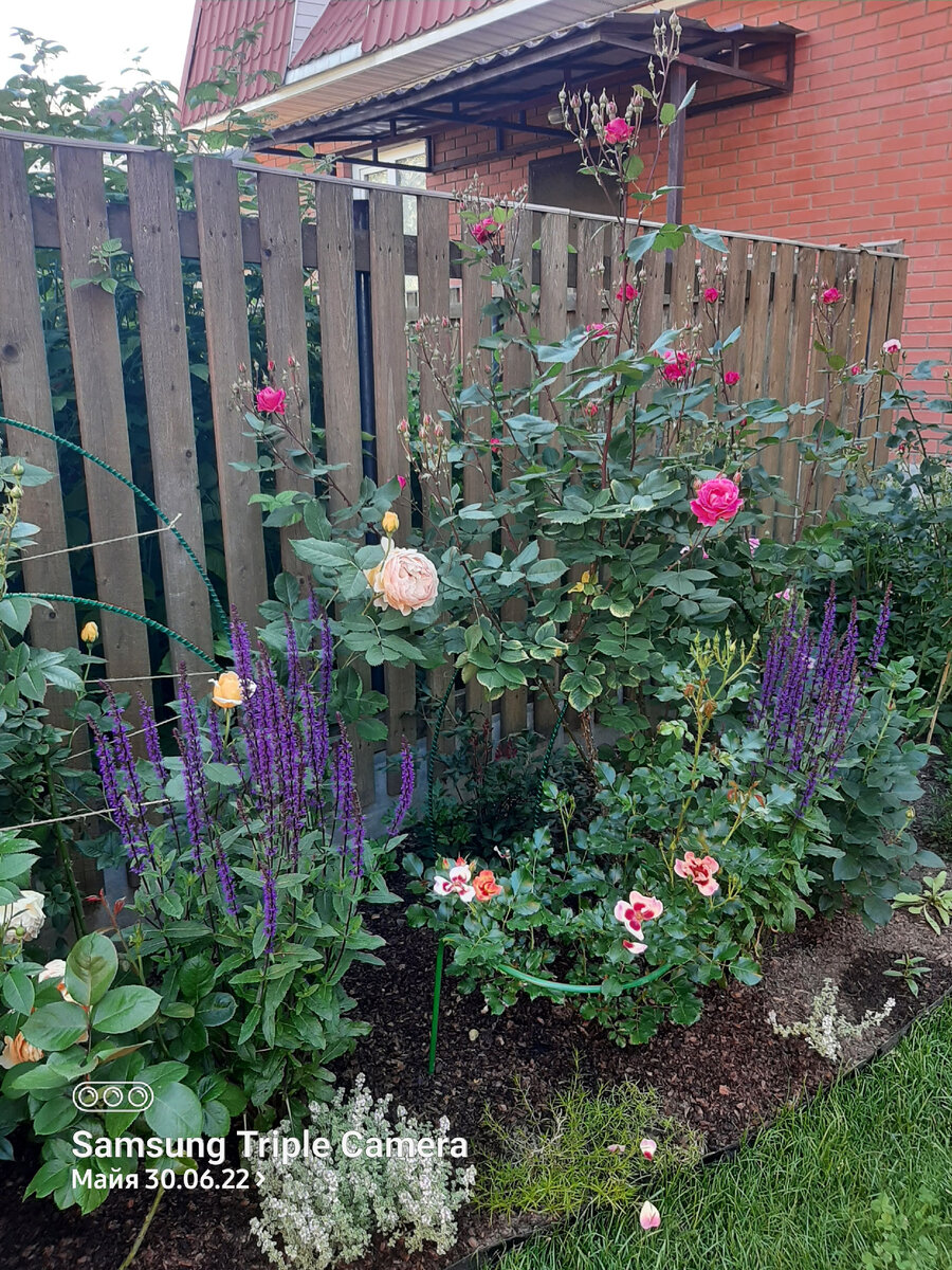 Начало цветения 