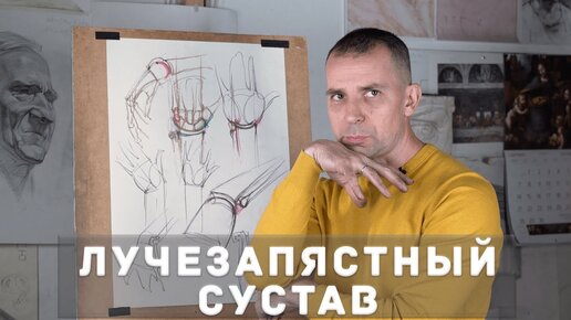 Лучезапястный сустав - А. Рыжкин