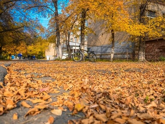     Фото: Людмила Ковалева, "Южноуральская панорама"