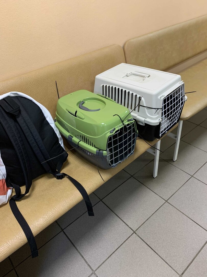 в клинике. фото автора