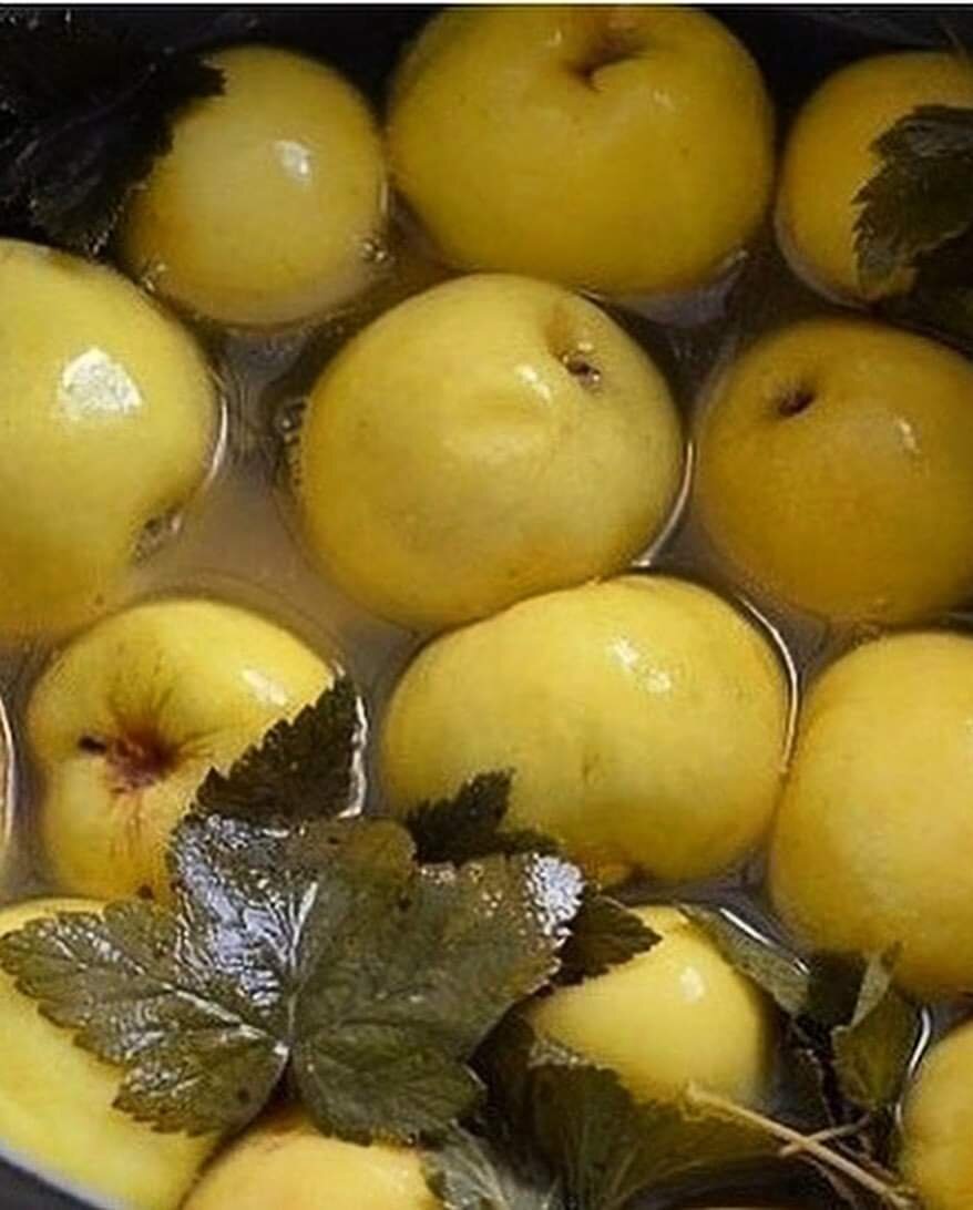 Моченые яблоки - суперзакуска! 


