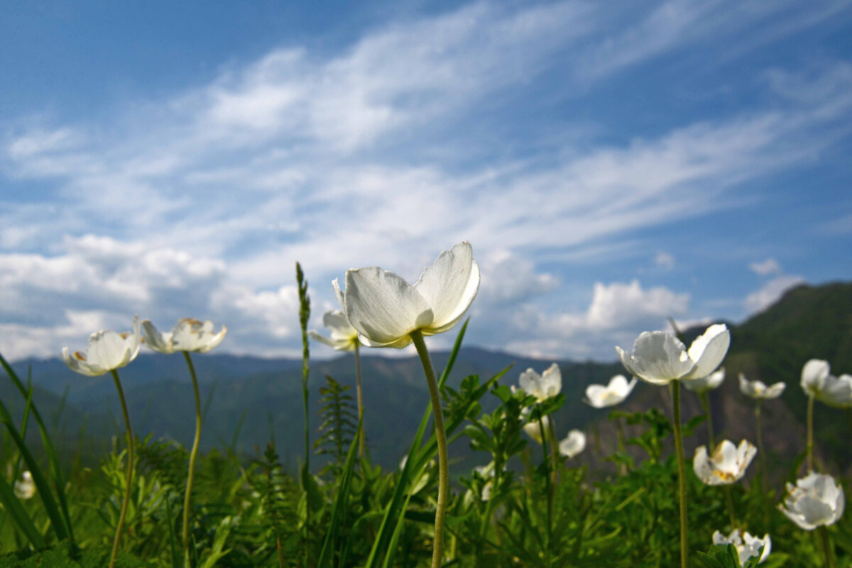 Фото Ольга Шадрина.  С плато Толгоек
