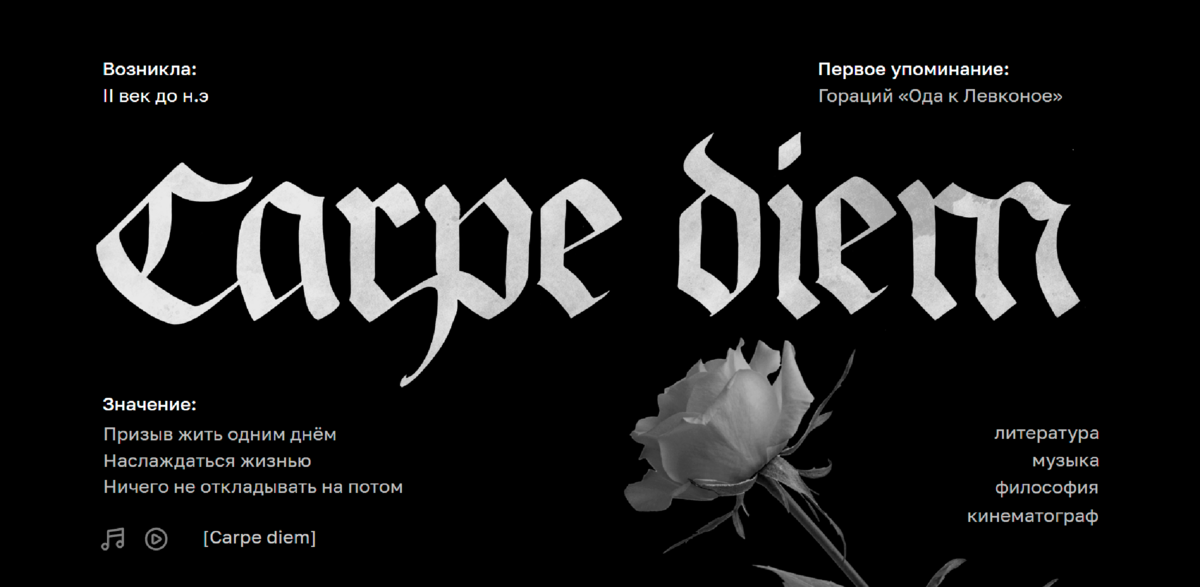 Фрагмент лонгрида «Топ-10 фраз на латыни в современных реалиях»(доступна только Desktop версия)