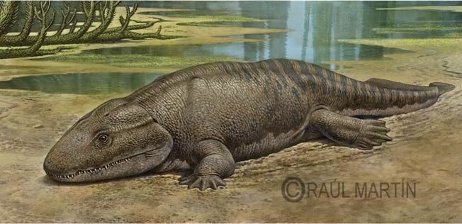 Блин, больше не стОит так объедаться…