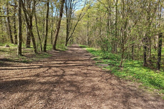   Фото из архива Калининград.Ru