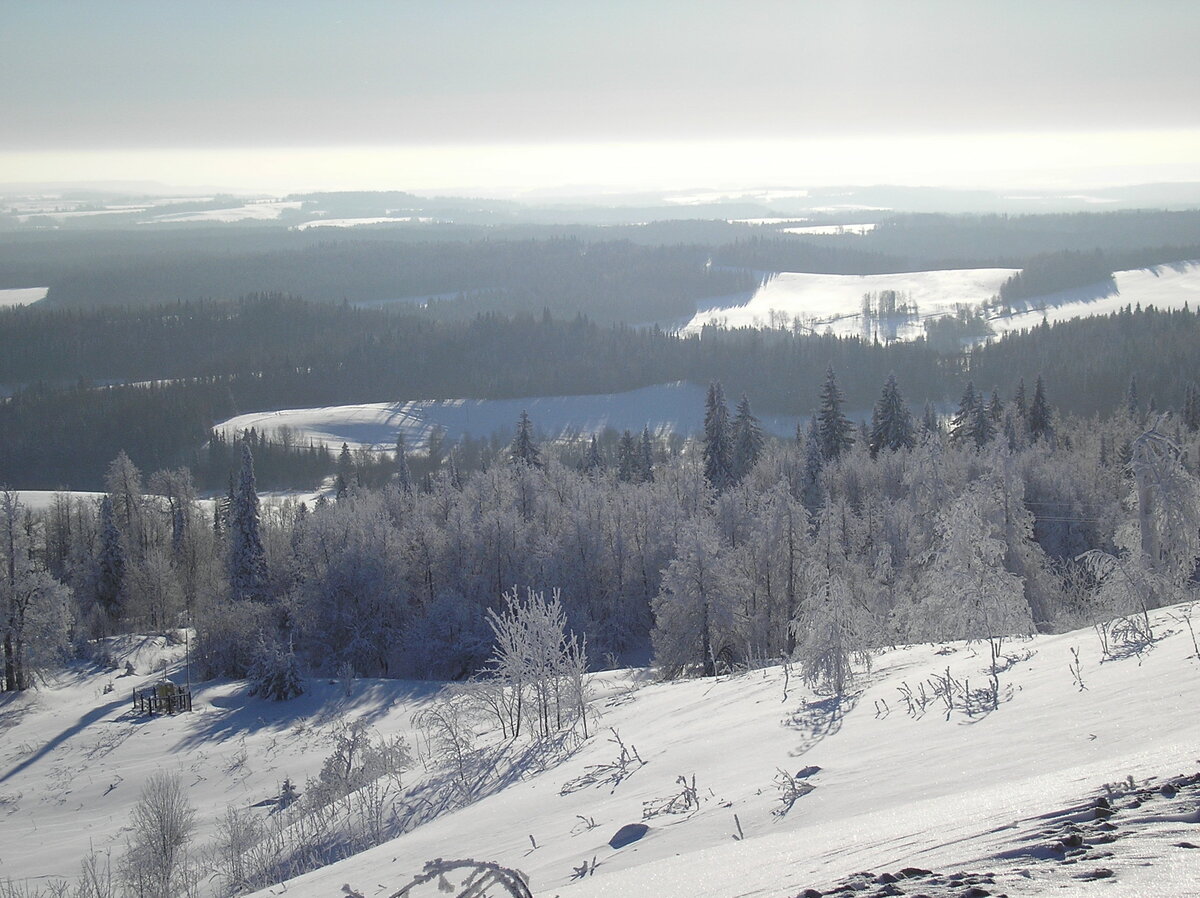 Фото Л. Чинивизовой. Пермский край