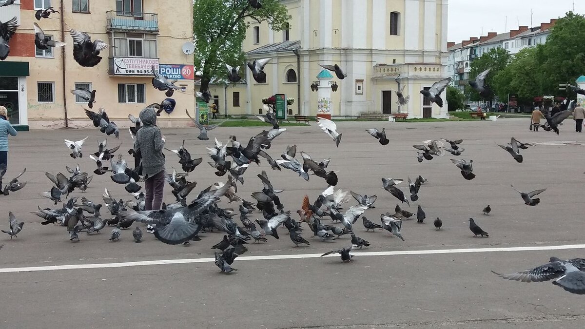 Владимир. Волынь. Май 2019 года. Из личного архива автора канала