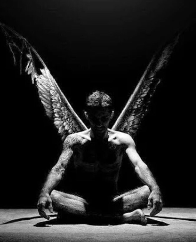 Люцифуг Рофокал (Lucifuge Rofocale)