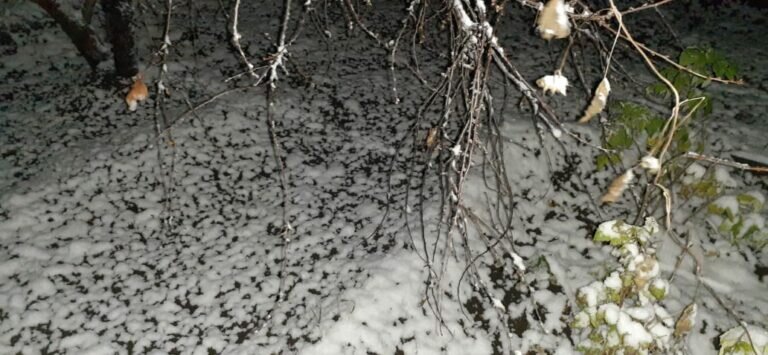    В Оренбургской области в ночь на 3 ноября прогнозируют мокрый снег и до -7 градусов Кристина Просвиркина