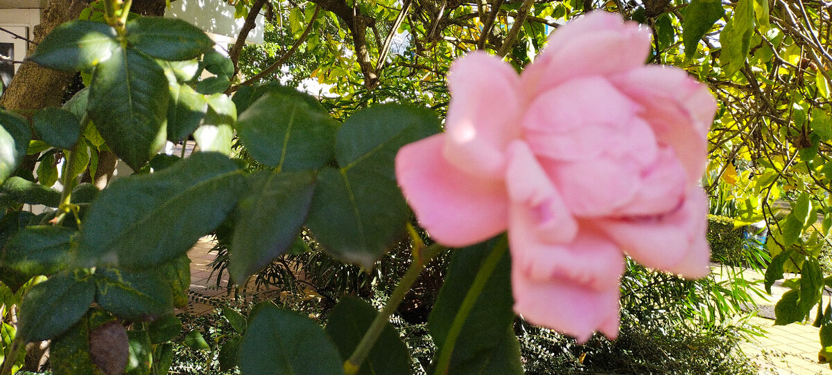 Фото автора канала