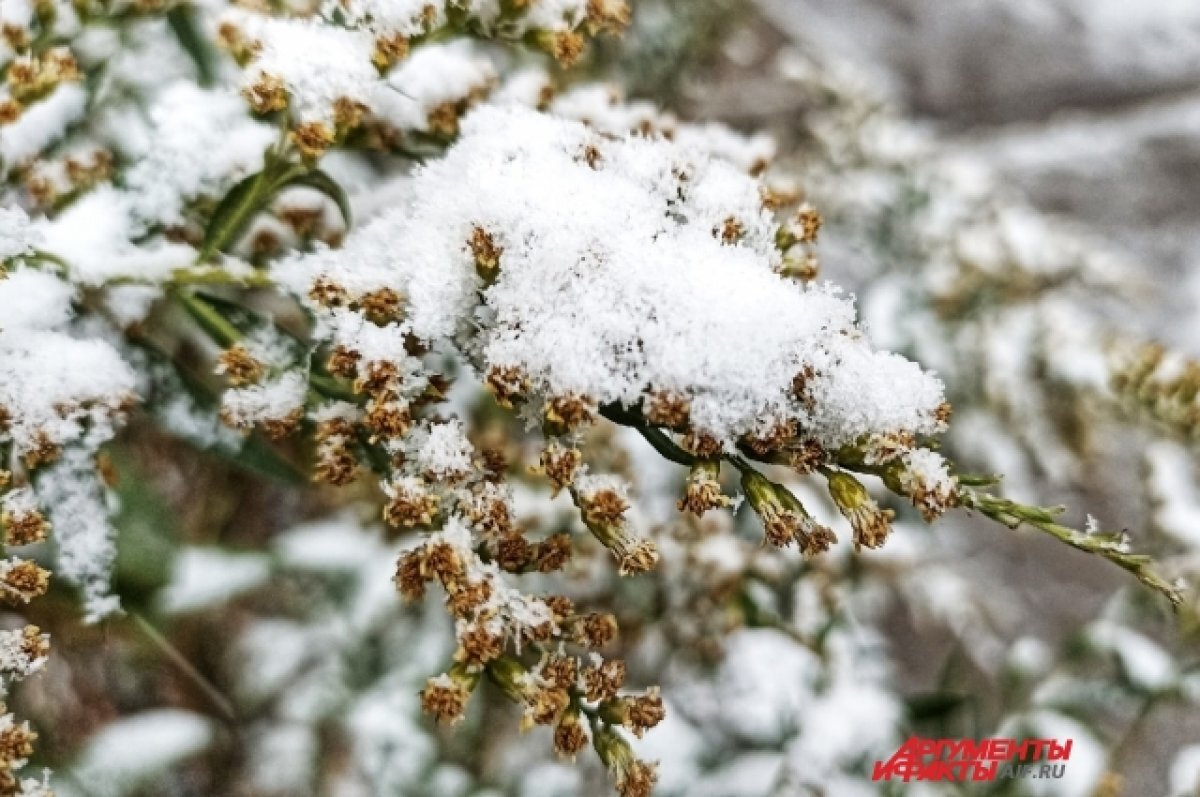    После 11 ноября в Пермском крае ожидается значительное похолодание