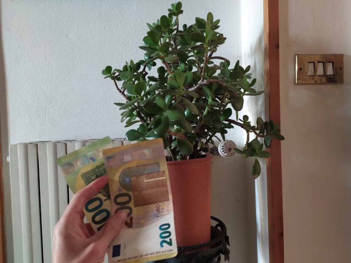 Чем больше листочков, тем больше денег у вас будет! 