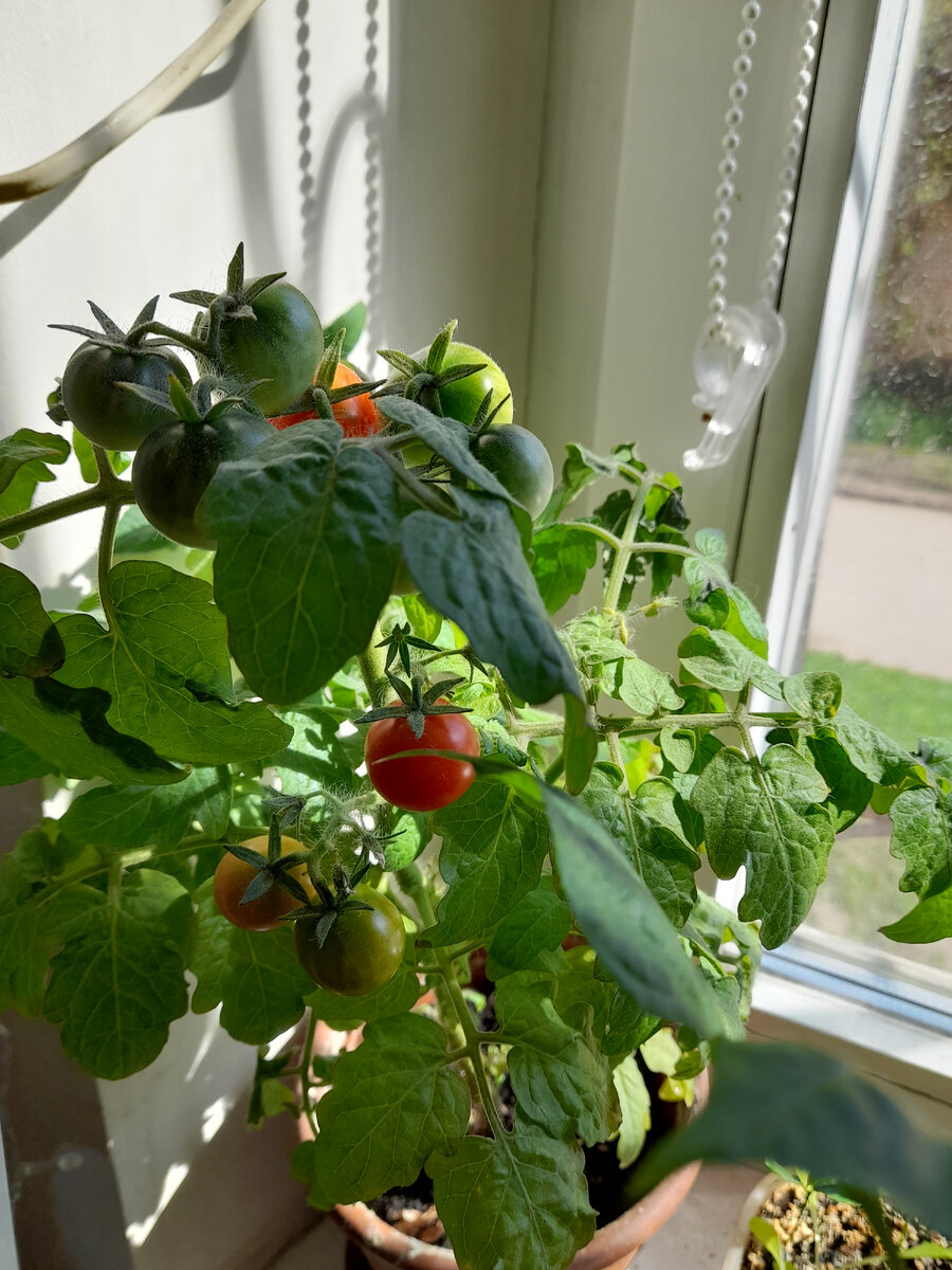 Фото автора канала. Отвлекает и очень мотивирует