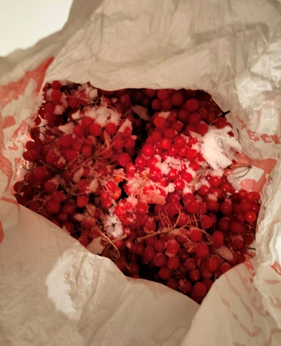 По фото непонятно, но калины здесь где-то килограмм. Такого добра хватит не на одну зиму.