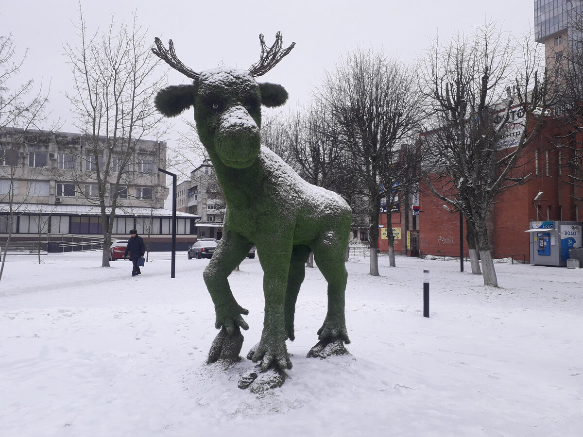 22 января 2023 11:27