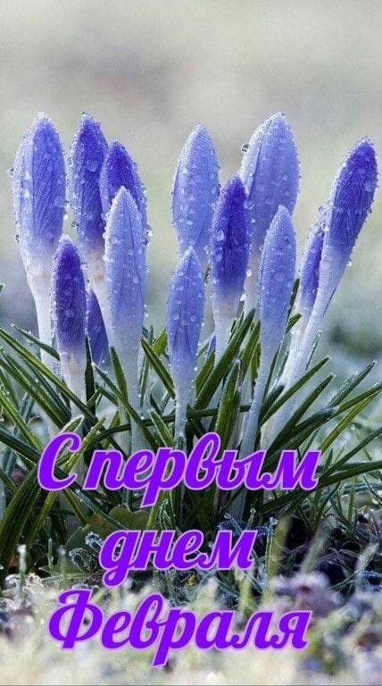Картинка из открытого доступа