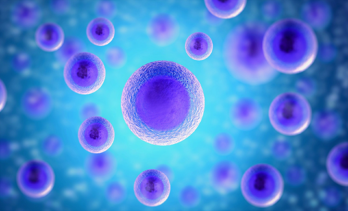 Рис. 1 - Трёхмерная модель органических клеток