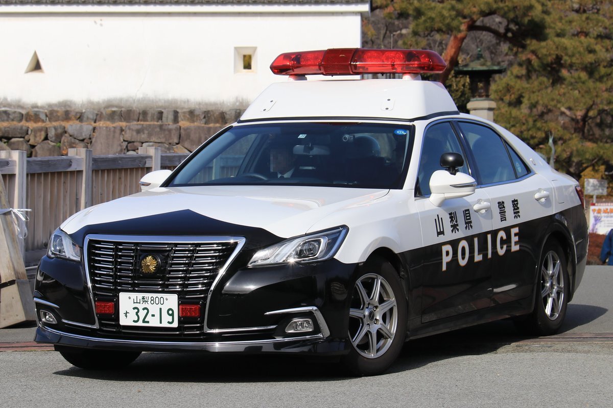 Ну разве не красавец?