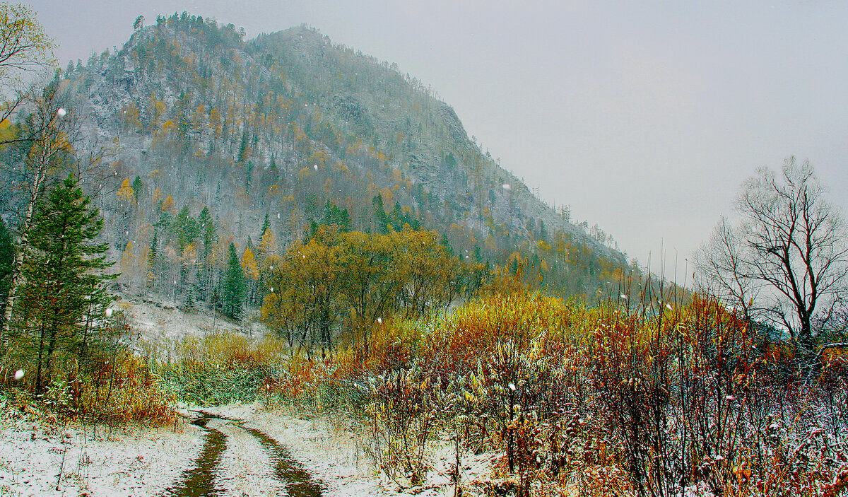 Фотография, стихотворение Василия Глуцкого