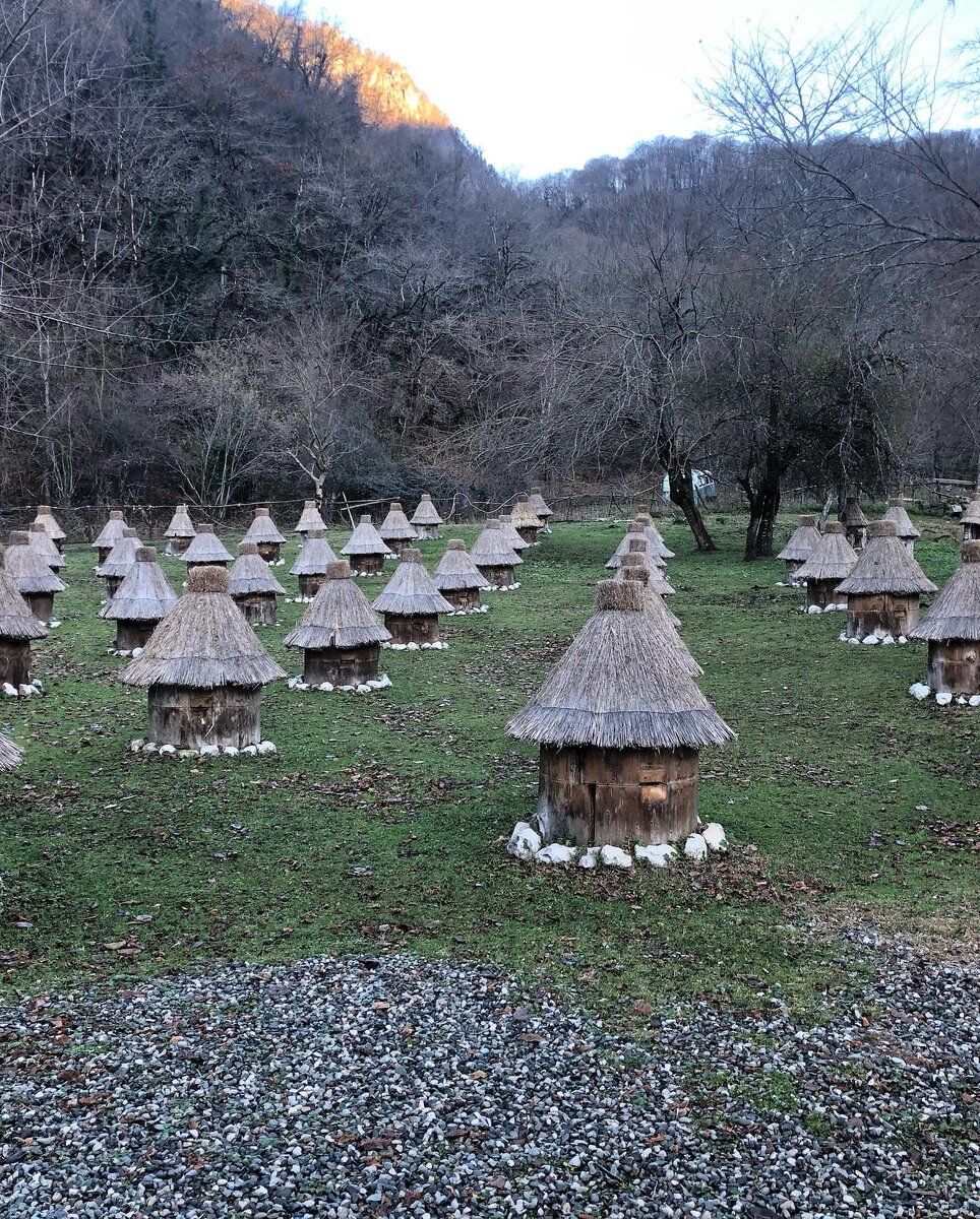 Фото автора.