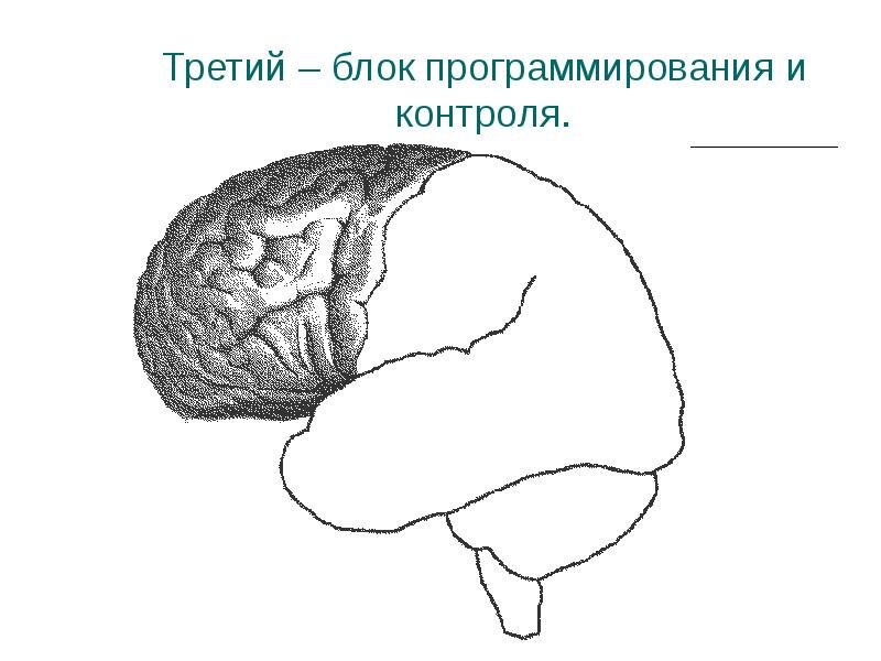 Рисунок из свободных источников Яндекс