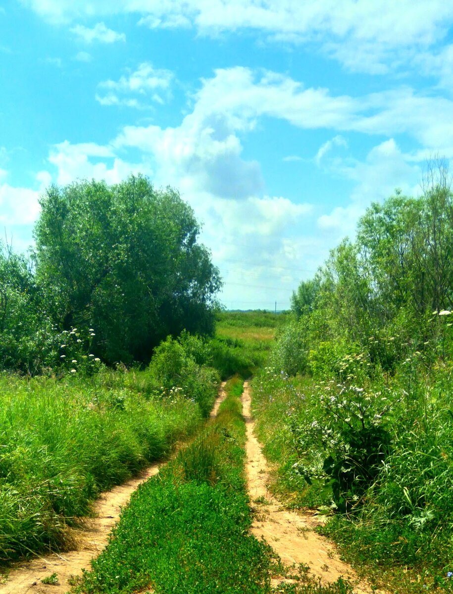 We stood on a slope of a hill, and the path twisted before us to a valley by the side of a running stream. There were no dark trees here, but on both sides of the narrow path stood azaleas and rhododendrons, drooping their lovely, delicate heads in the soft summer rain. The air was full of their scent, sweet and heady, and Maxim picked up a flower and gave it to me.