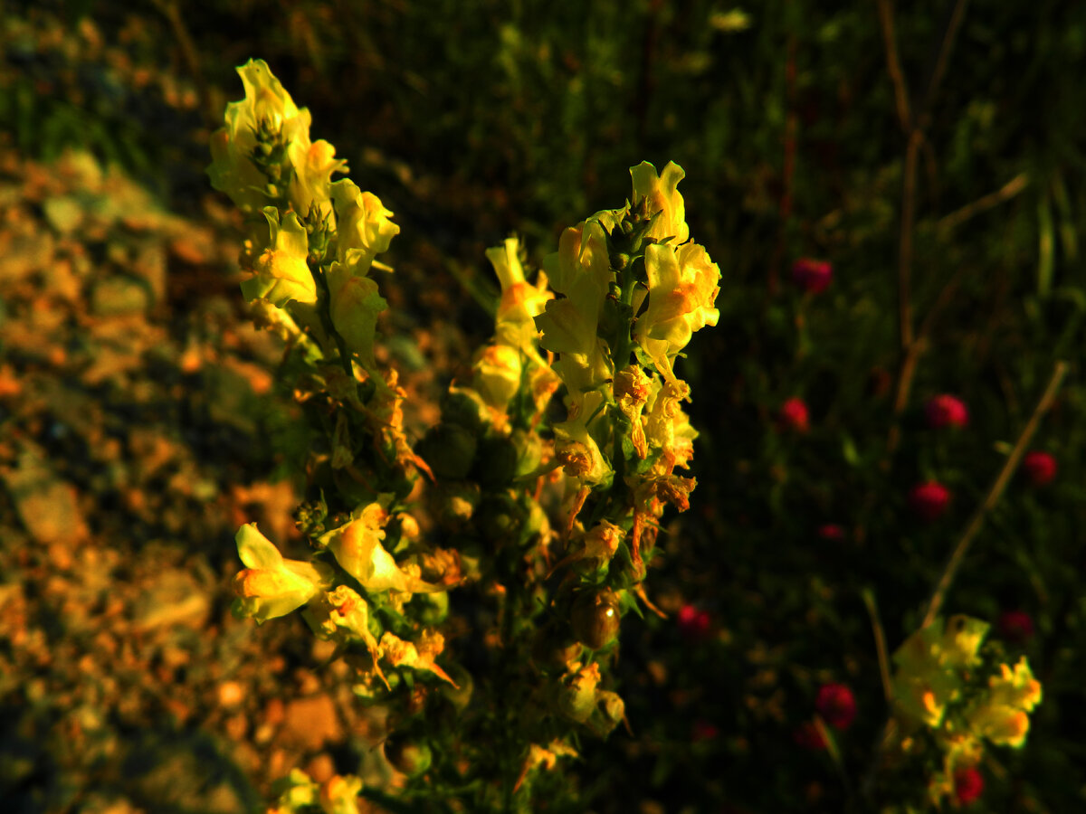 фото автора канала