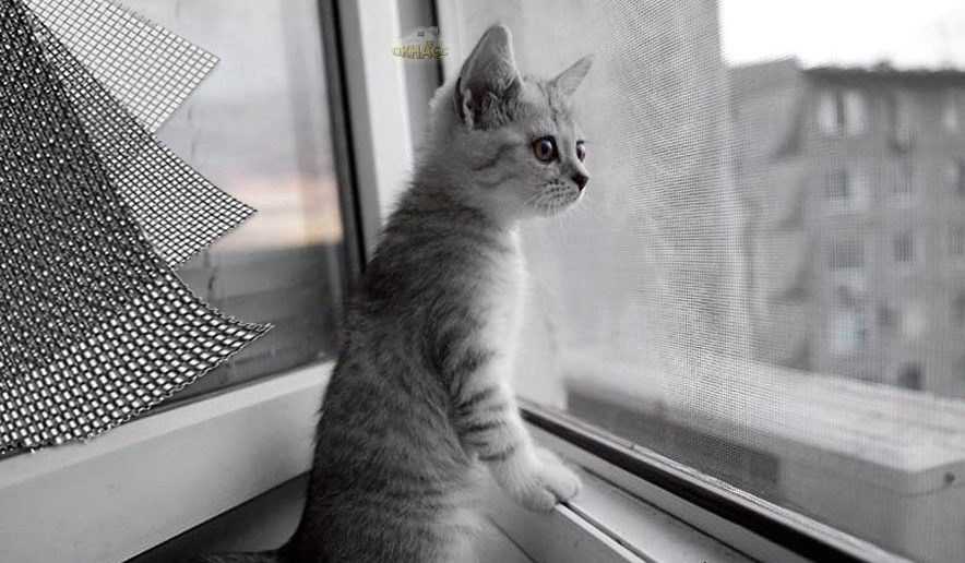 🐱 Полотно Антикошка  - полотно повышенной прочности.   Предназначено для долговечной защиты помещений от всех видов летающих насекомых. Основным преимуществом полотна является его высокая устойчивость к механическим повреждениям, которые могут быть совершены домашними питомцами (кошки, собаки - когти, зубы), а также птицами при выклевывании ими застрявших в ячейках полотна комаров и мошкары, что является одной из основных проблем обычных полотен и приводит к их порче, разрывам. 