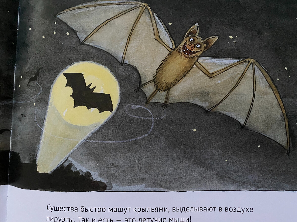 Фото автора. Хотели бы себе такого соседа? 