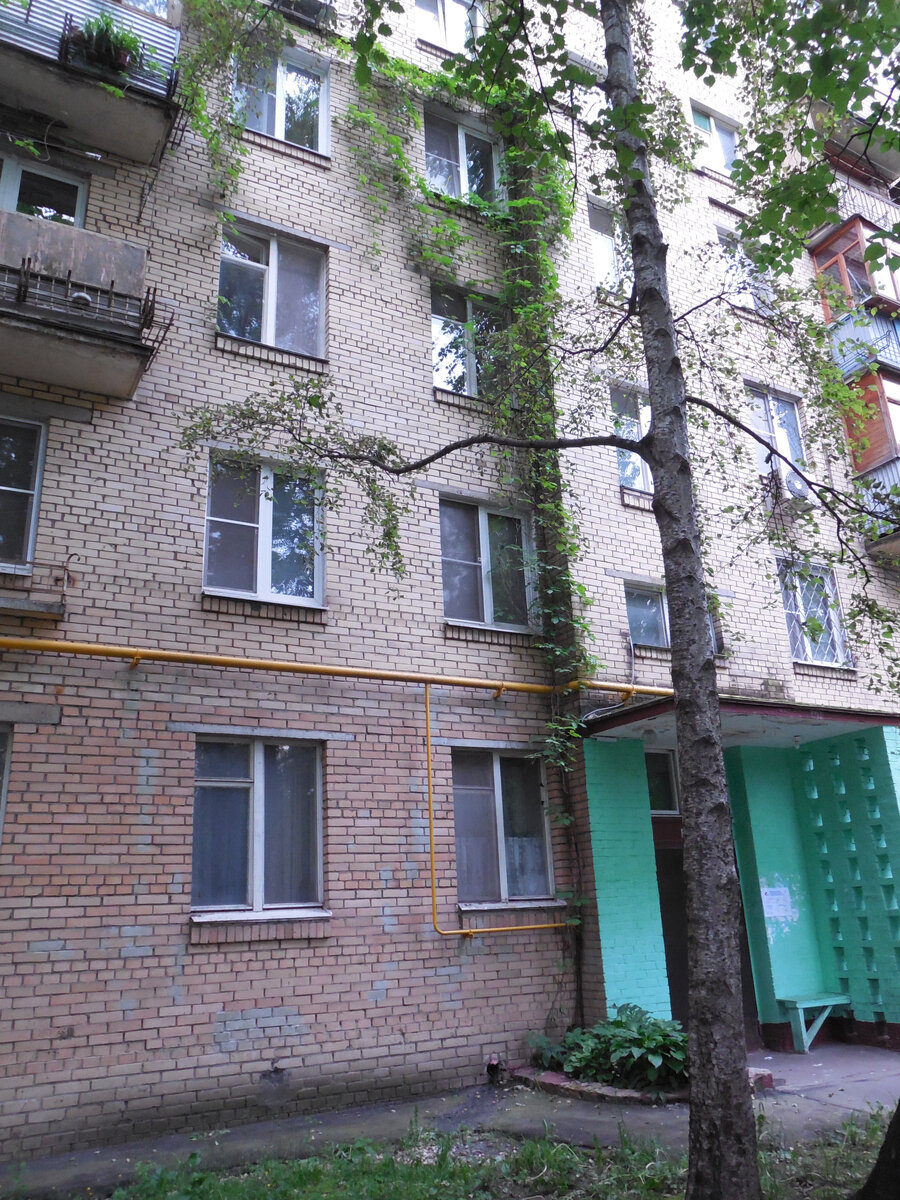 Но тут ничего особенного. Виноград девичий и всё. А вот дальше с точно таким же виноградом странности