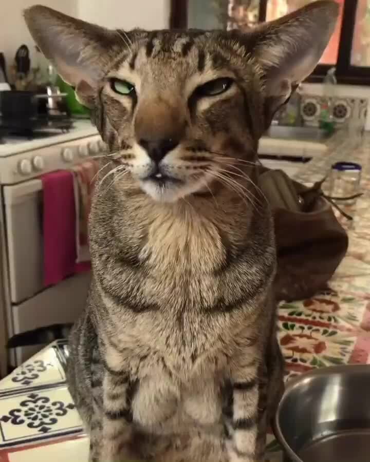 иллюстрация из яндекс картинки.