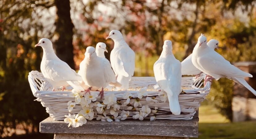 Фото из свободного источника интернет