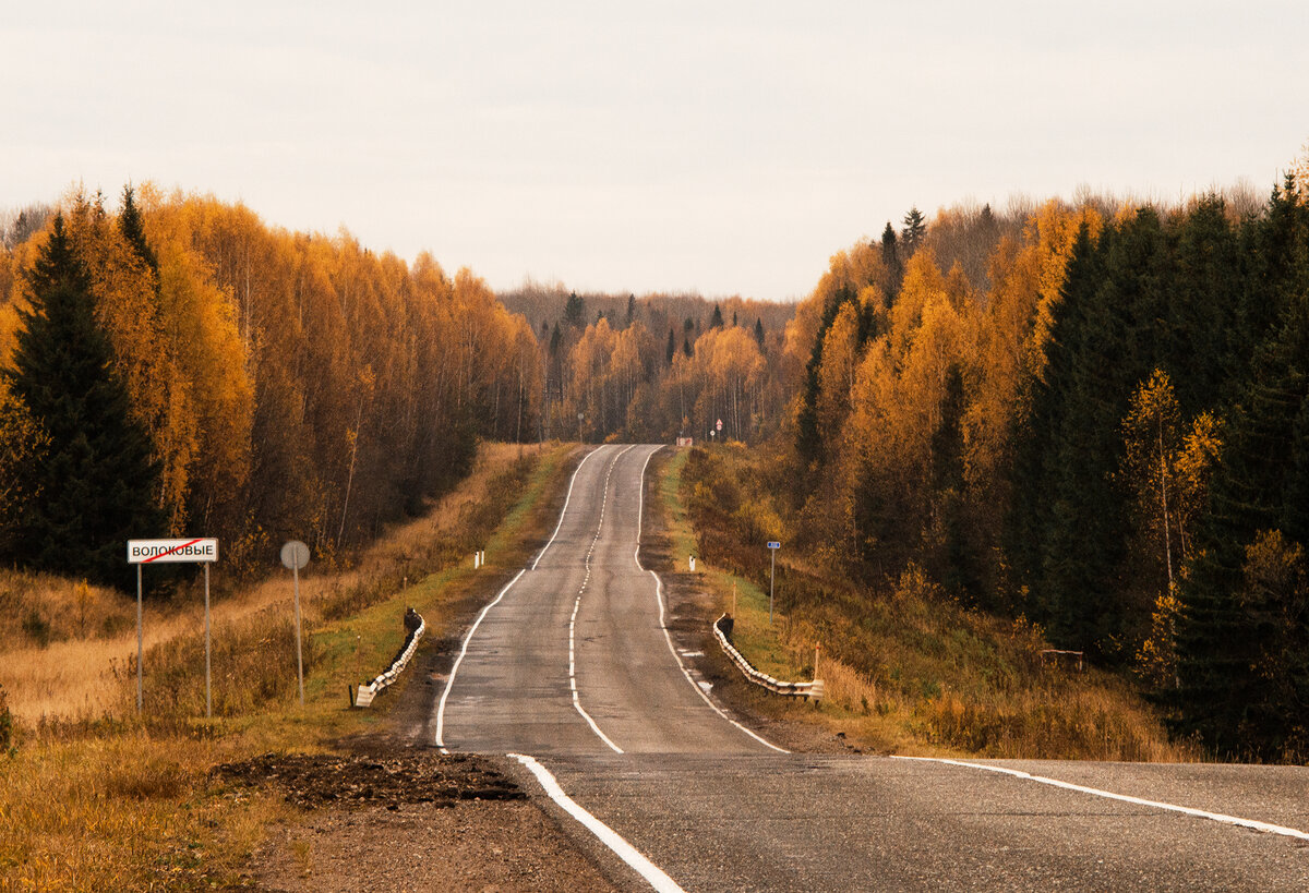 Осенняя дорога домой. Осенняя дорога. Осень на трассе. Осенний лес на трассе.