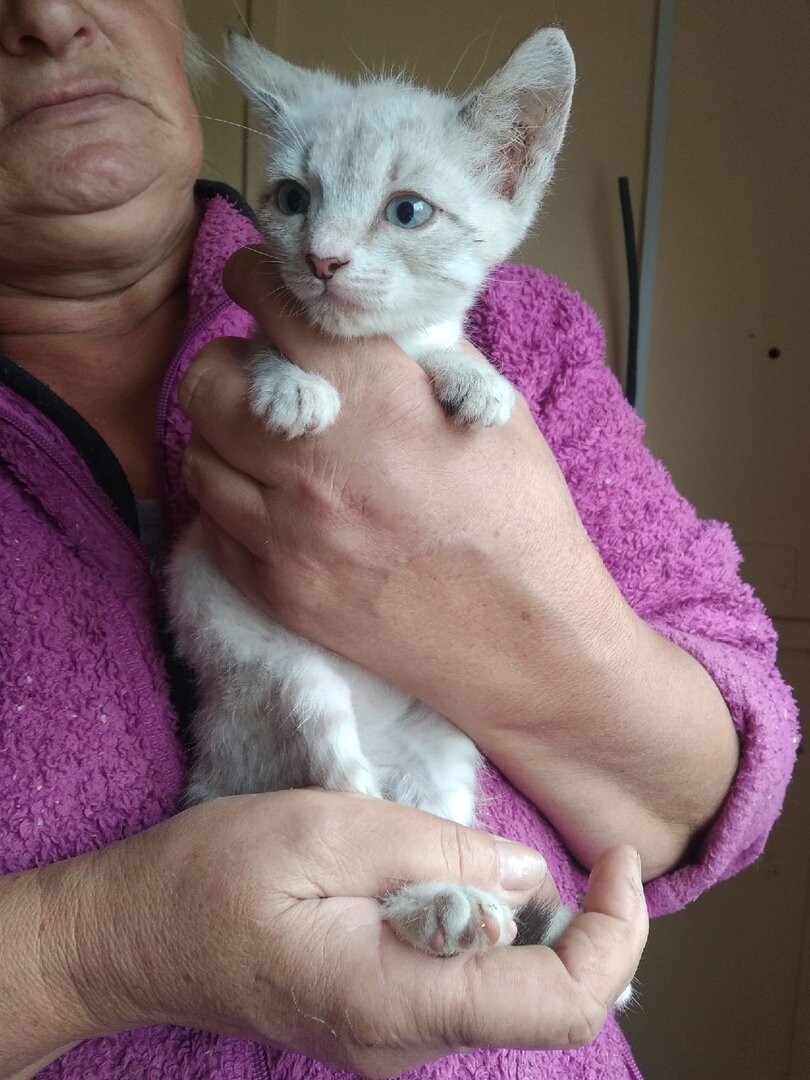 Маленький Кося