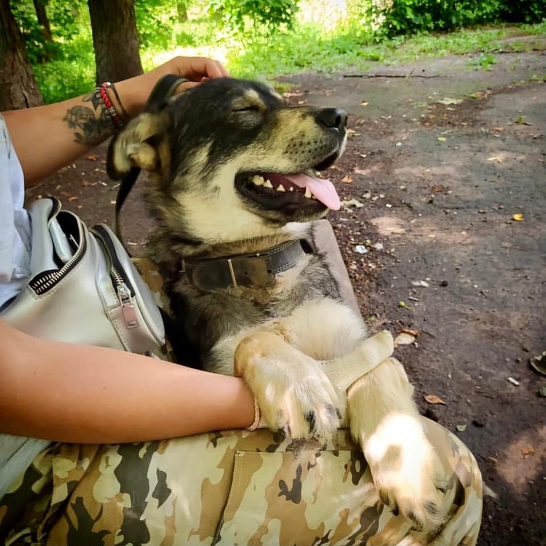 Это Вайт с хозяйкой, он нашел дом раньше Барри