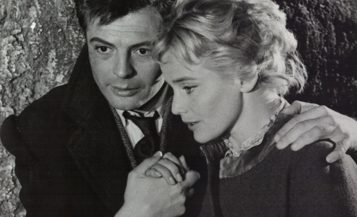 Главные роли в картине исполнили Марчелло Мастроянни и Мария Шелл. 