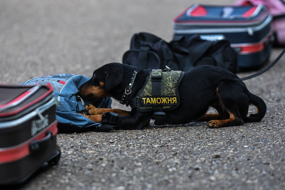 Фото для иллюстрации из http://sputnikimages.com/ 
