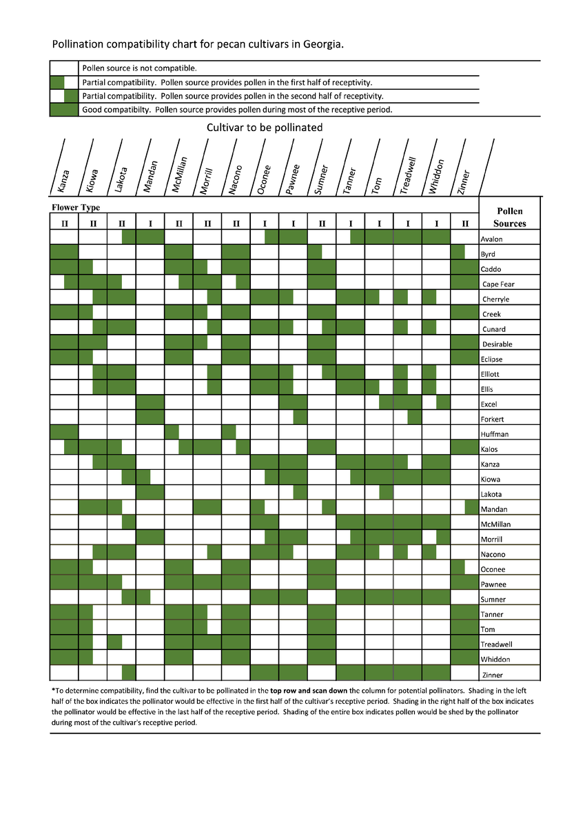 Краткая таблица, лист 2