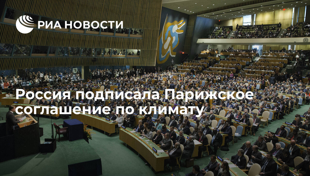 яндекс картинки