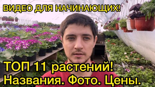 Самые ВЫГОДНЫЕ цветы из семян на продажу рассадой! (И ЭТО НЕ КУСТОВАЯ ПЕТУНИЯ)