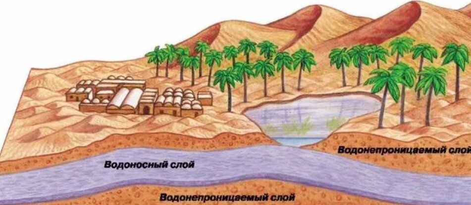 Фото Яндекс картинки